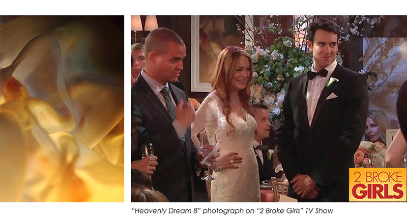 Art on "2 Broke Girls"