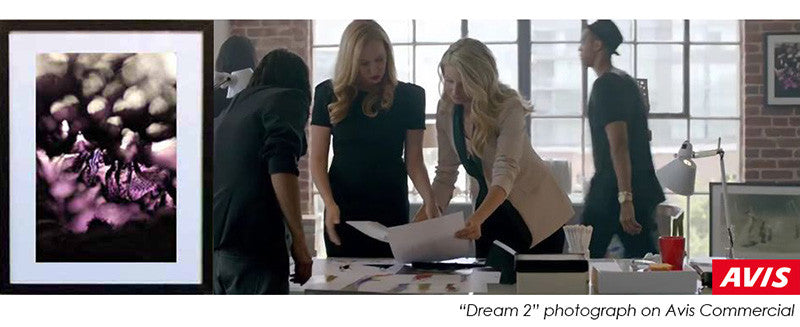 Art on Avis Commercial