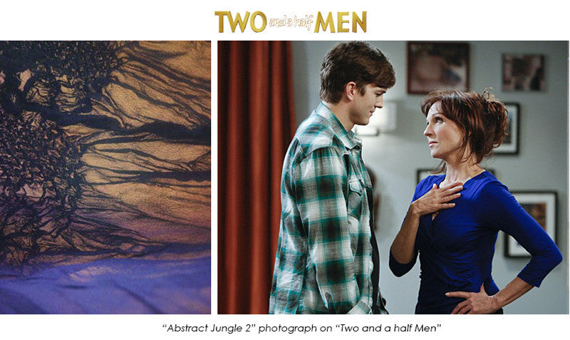 Art on "Two and a half Men"