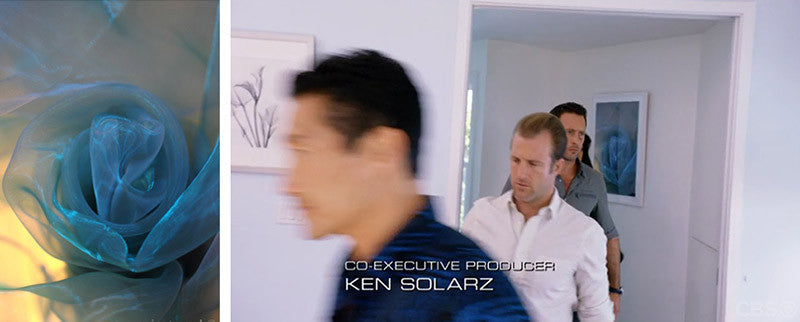 Art on "Hawaii Five-0"