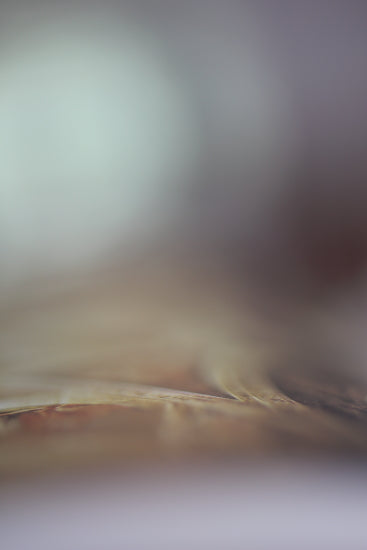 abstract photography prints for sale