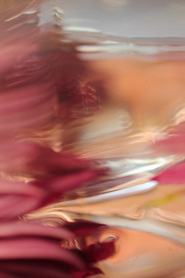 magenta abstract photography, contemporary interior design, abstract photography for sale