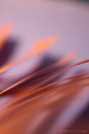 abstract landscape, contemporary art, abstract photography, for sale