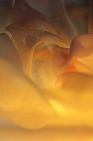 abstract landscape, contemporary art, abstract photography, for sale