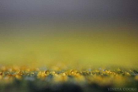 abstract landscape, contemporary art, abstract photography, for sale