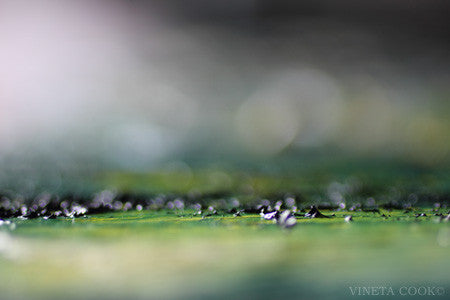 abstract landscape, contemporary art, abstract photography, for sale