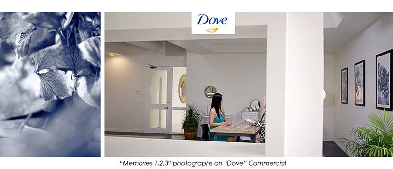 Art on Dove Commercial