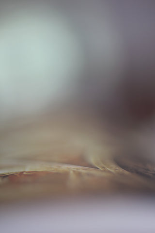 abstract photography prints for sale