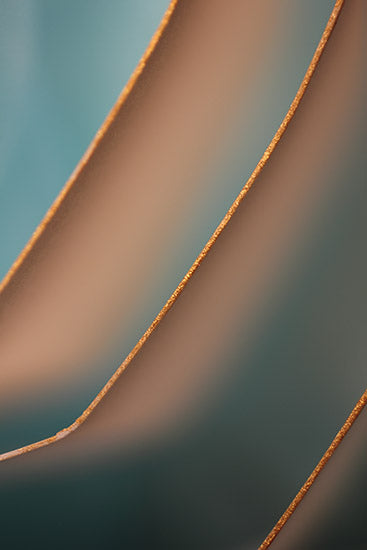 geometric photography, abstract photography, art for interior design, brown photography
