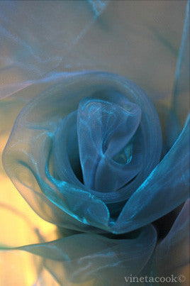 blue rose, contemporary art, abstract photography, for sale