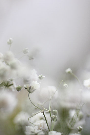Nature Tales 1
