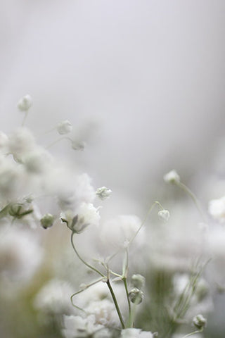 Nature Tales 1