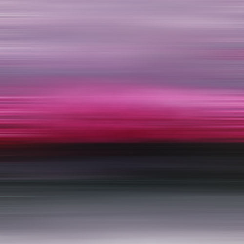 magenta art, pink photography, print for sale, square art to buy