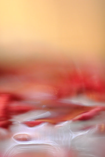 red orange abstract landscape photography, print, for sale