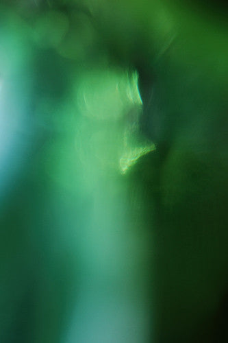 Shades of Green A2 abstract photograph