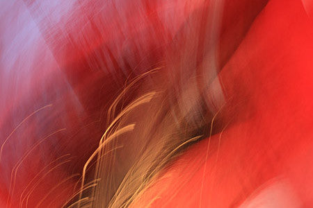 red abstract art, red photograph, abstract, art for interior, art for hospitality