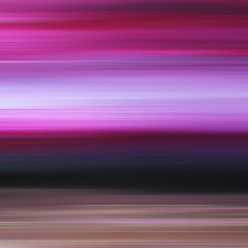 magenta art, pink photography, print for sale, square art to buy