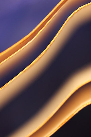 geometric photography, abstract photography, art for interior design, brown photography