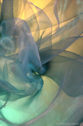 green photography, contemporary art, abstract photography, for sale