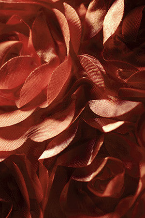 abstract photo, brown art, contemporary art, abstract photography, for sale