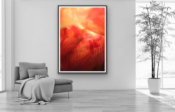 Abstract photography for sale, orange abstract photography prints 