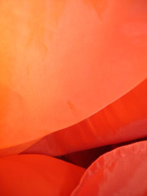 abstract orange photograph, for sale