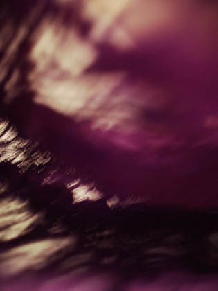 purple photography for sale