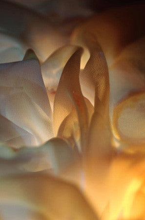 abstract landscape, contemporary art, abstract photography, for sale