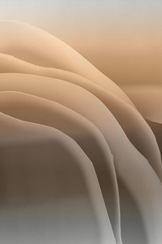 abstract brown photography, artwork for sale, contemporary art, transitions, color