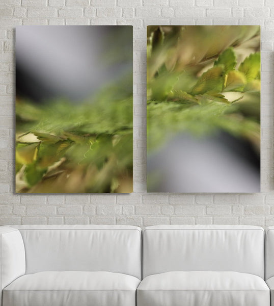 abstract nature photography, art for healthcare, green photography