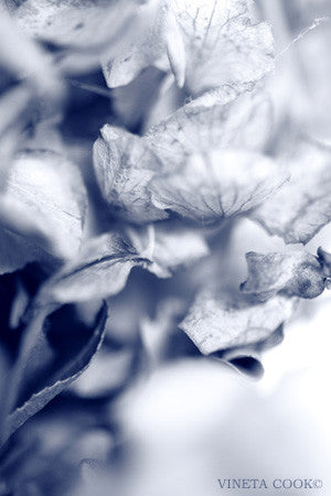 abstract landscape, contemporary art, abstract photography, for sale