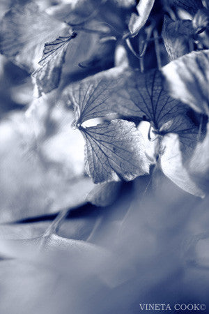 abstract landscape, contemporary art, abstract photography, for sale