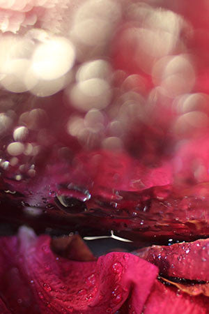 abstract landscape, contemporary art, abstract photography, for sale