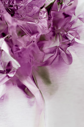 Blooming A1