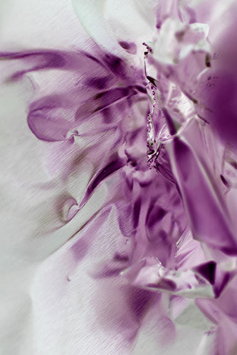 abstract photography, purple photography, luxury art for interior design