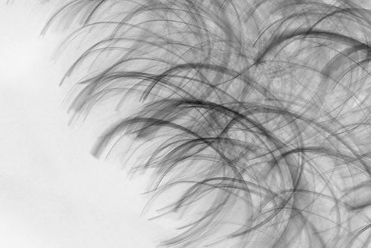 abstract landscape, contemporary art, abstract photography, for sale